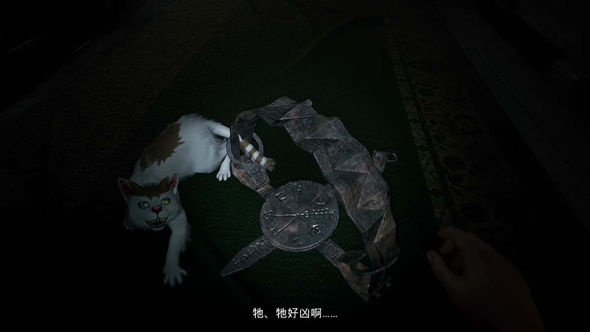 视觉数据4